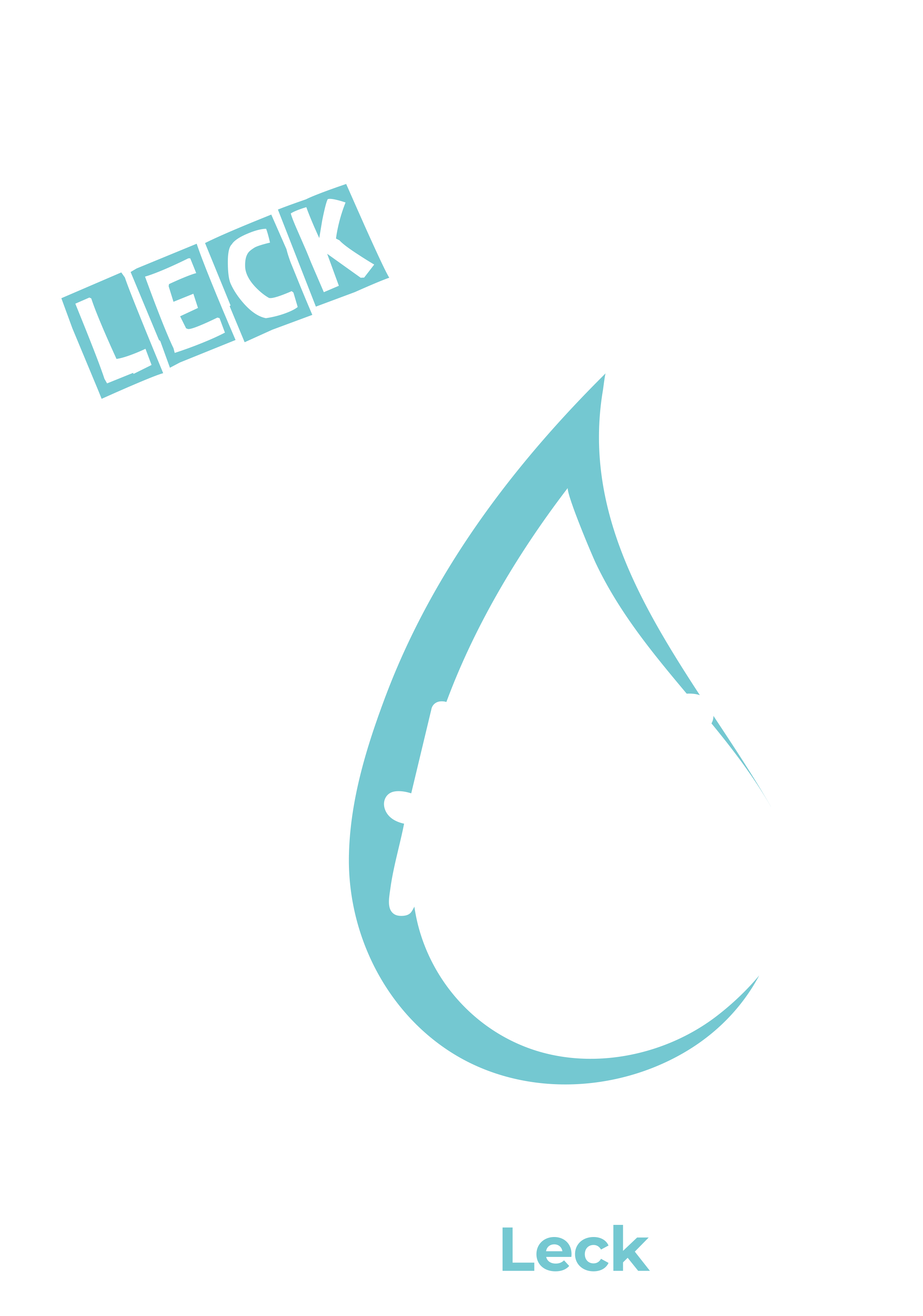 KS Ortungstechnik GmbH